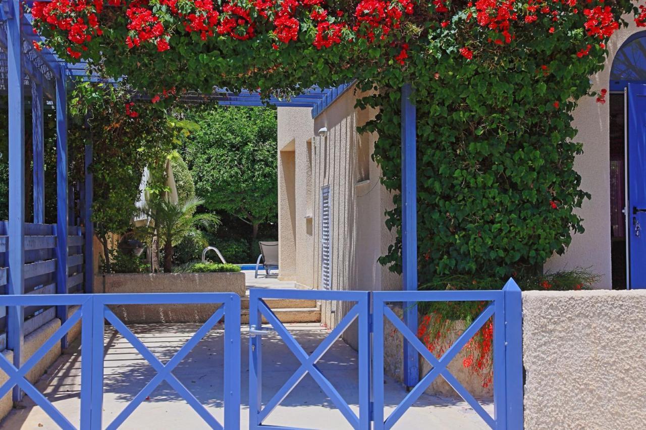 Villa Irina Πόλη Εξωτερικό φωτογραφία